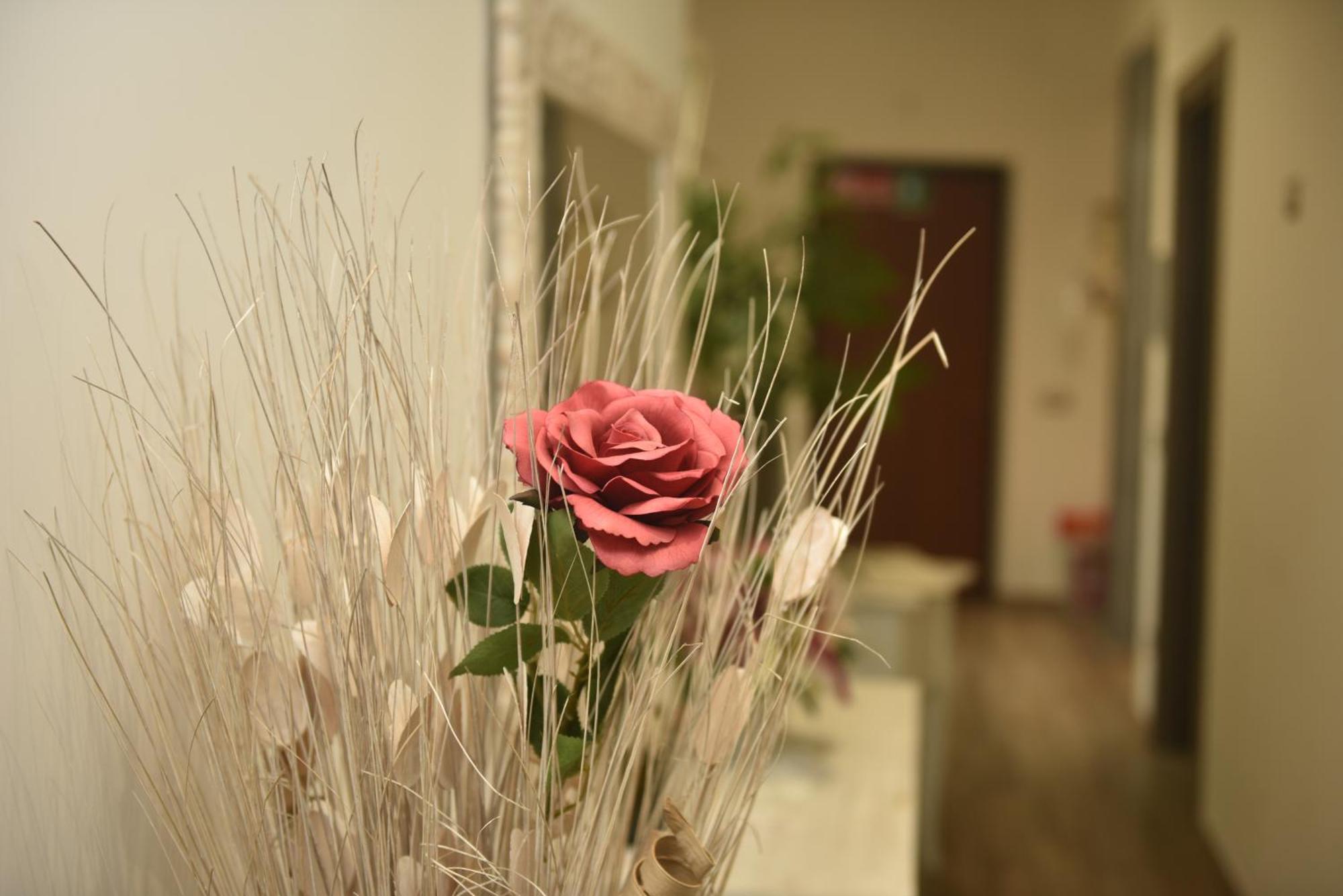 In Terrazza Da Giusy Bed & Breakfast Rome Luaran gambar