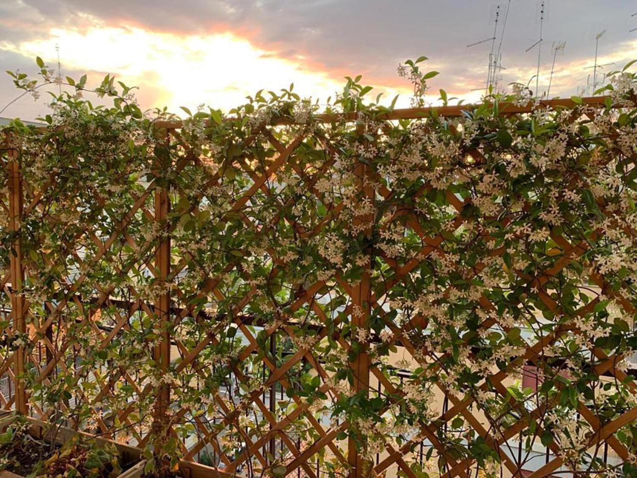 In Terrazza Da Giusy Bed & Breakfast Rome Luaran gambar